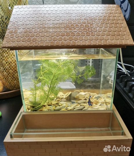 Аквариум