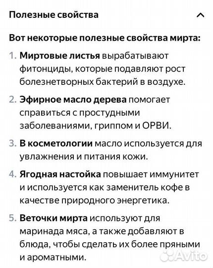 Мирт