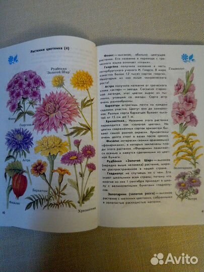 Атлас-определитель для учащихся начальных классов