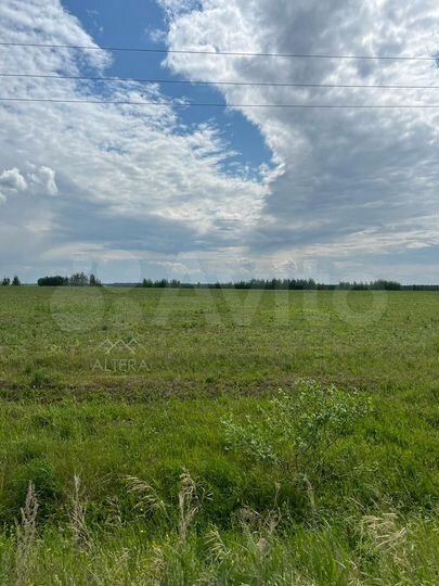 Участок 10 сот. (ИЖС)