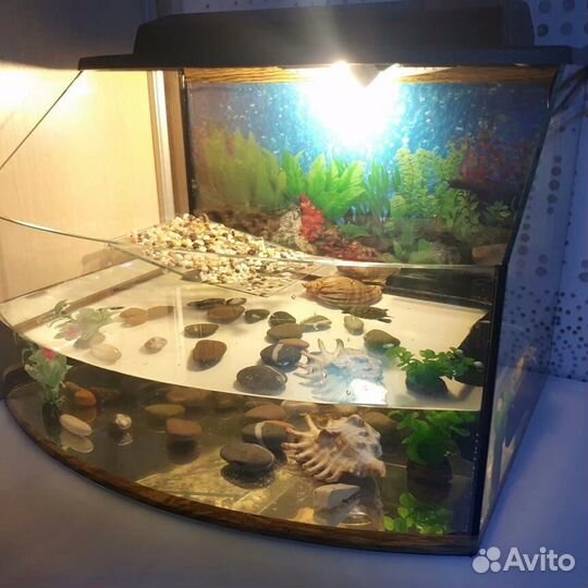 Террариумы для всех видов рептилий