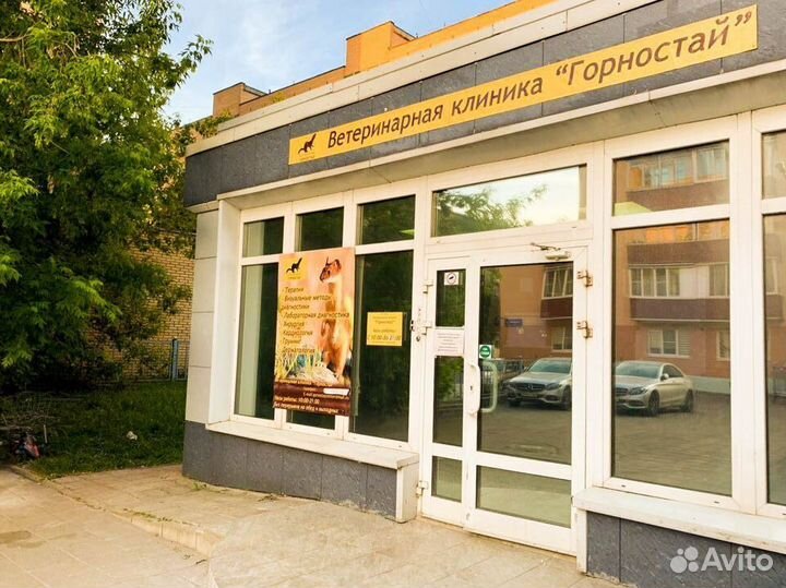 Ветеринарный врач