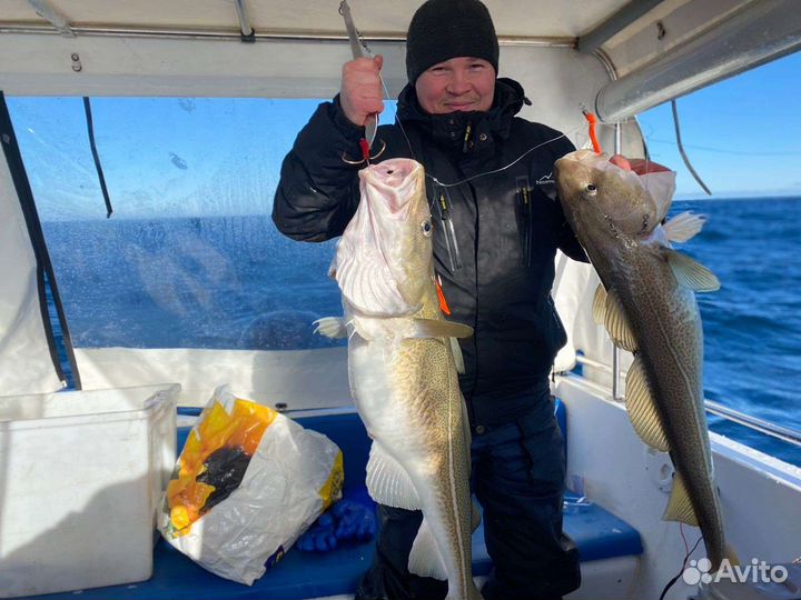 Морская рыбалка, прогулки по Баренцеву морю