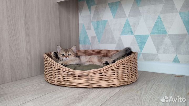 Лежанка для кошек