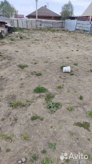 Отдам бесплатно грунт