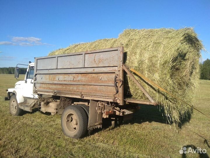 Сено могар,пайза урожай 23 года