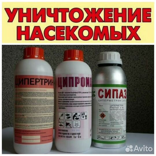 Уничтожение тараканов,клопов уничтожение насекомых