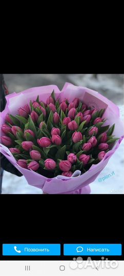 Тюльпаны на 8 марта