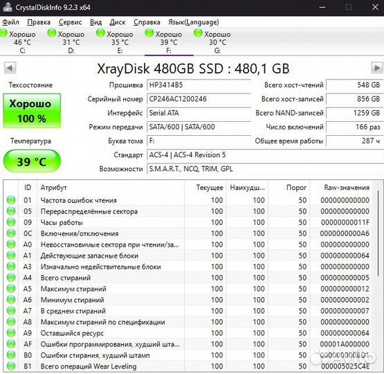 Kingspec, xraydsik 480