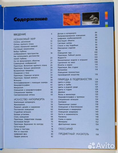 Крупный план. Цифровая фотография. Майкл Фриман