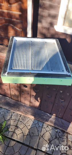 Улей лысонь