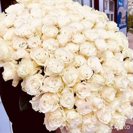 Высокие розы, букеты, цветы Доставка