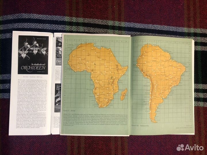 Книга про кактусы на иностранном языке, 1965