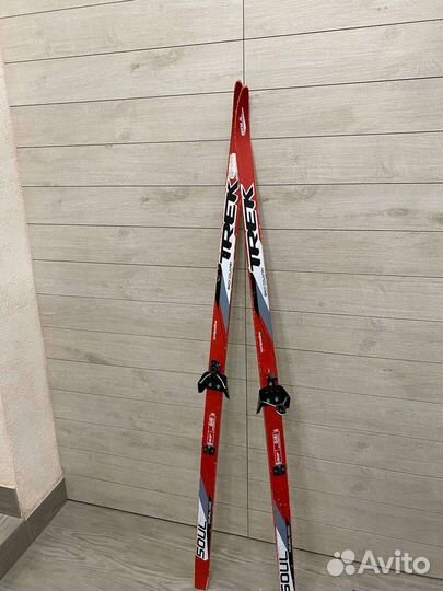 Беговые лыжи