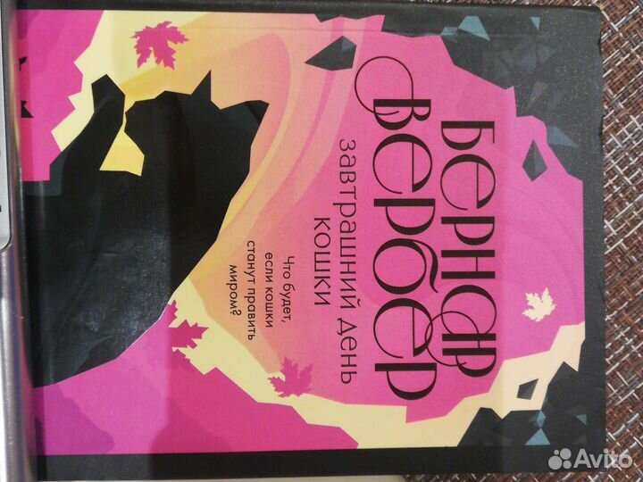 Книга Б. Вербер Завтрашний день кошки