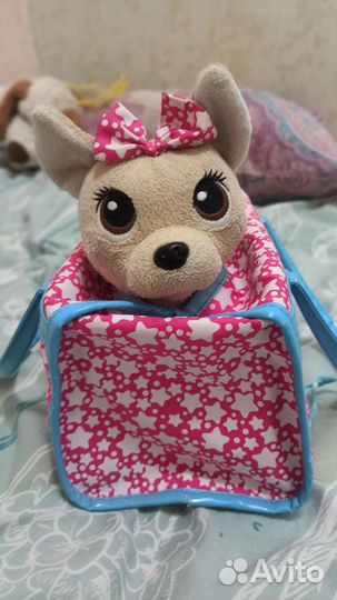 Собачка чичилав