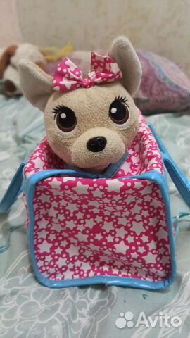 Собачка чичилав