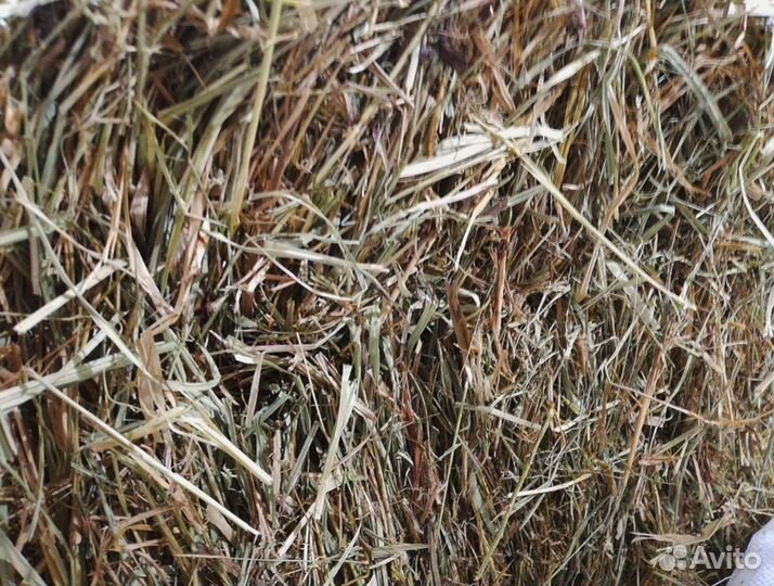 Сено - стружка - опилки