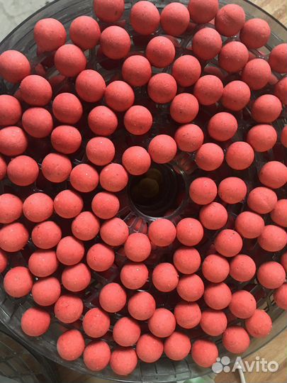 Карповые бойлы (+5л бутылка в подарок)