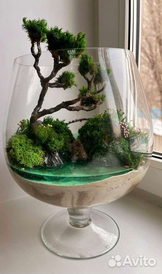 Флорариум Моссариум