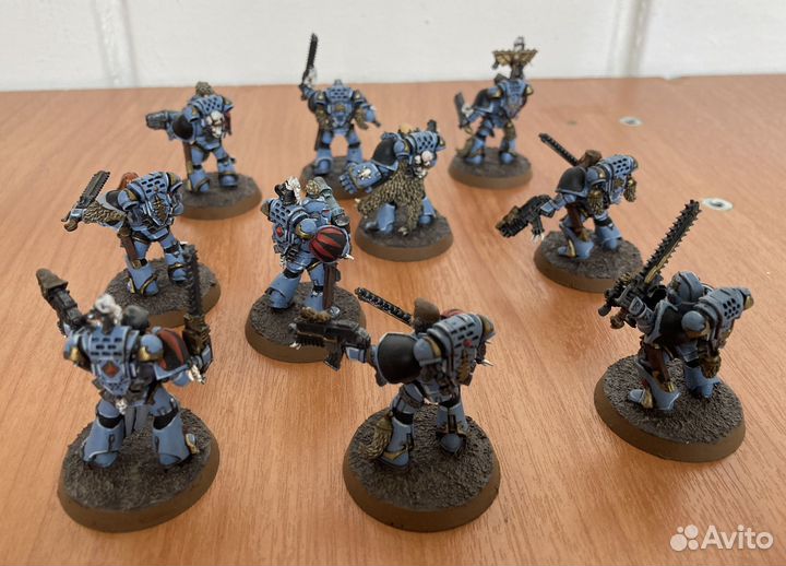 Warhammer 40.000 Grey Hunters-2