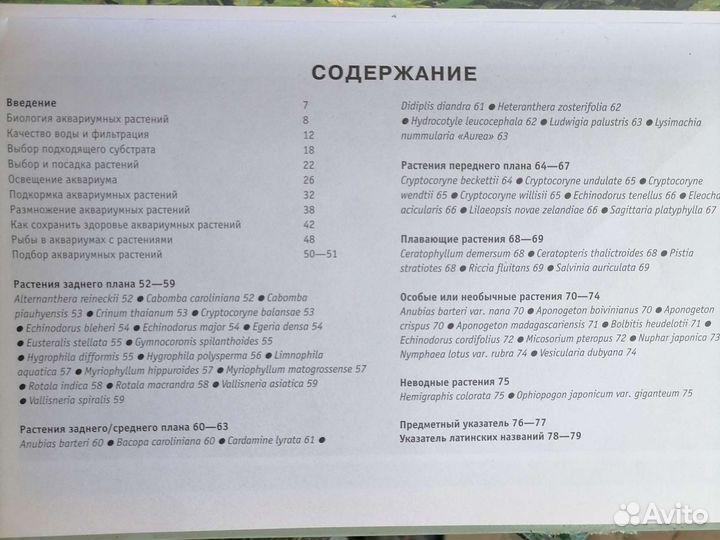 Растения для аквариума