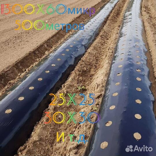 Плёнка для Клубники и Земленика