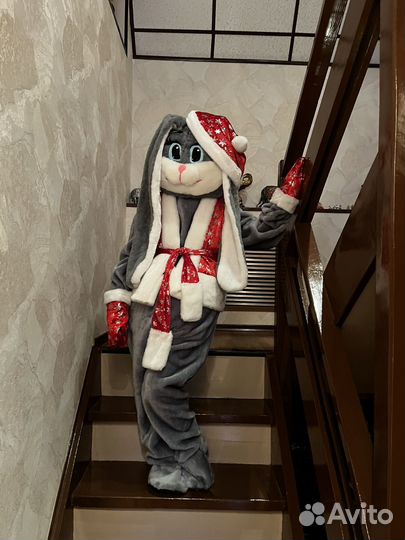 Ростовой белый медведь поздравление