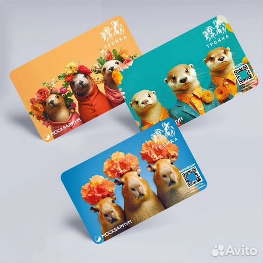 Коллекционные карты тройка Москвариум Капибары