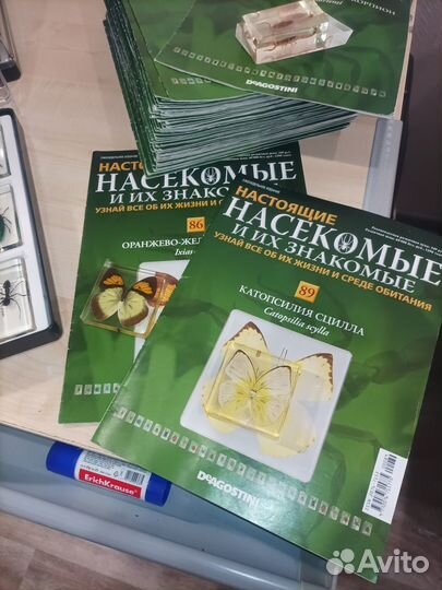 Полная коллекция Насекомые и их знакомые