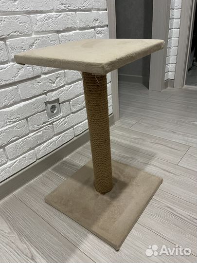 Когтеточка для котят