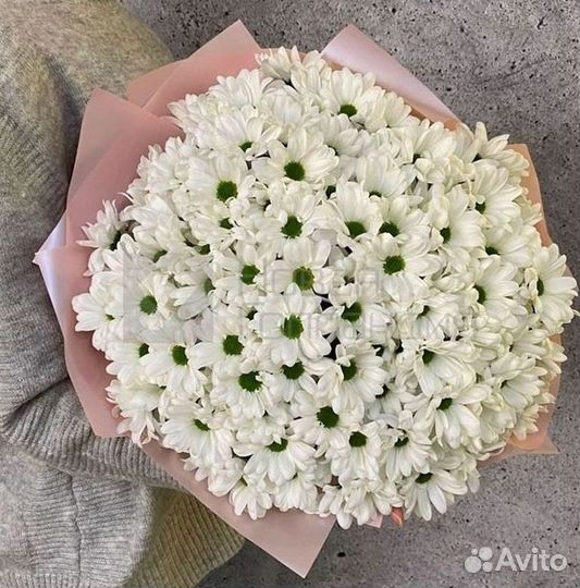 Хризантема Доставка цветов Букеты