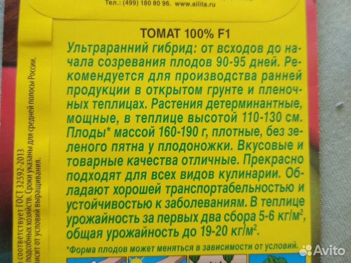 Рассада помидор