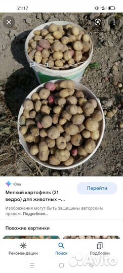 Продам мелкий картофель