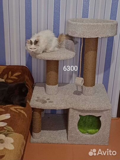 Игровые комплексы для кошек