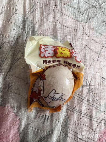 Яйцо с зародышем из игр Габара и другое