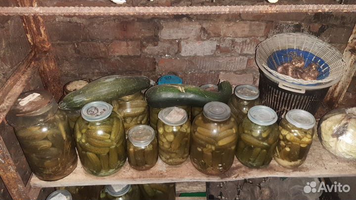 Огурчики соленые