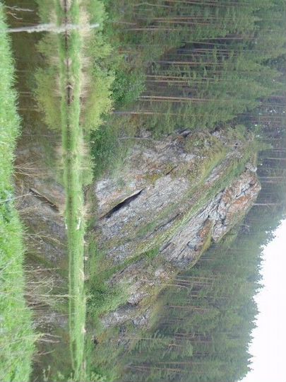 Участок 19 сот. (ИЖС)