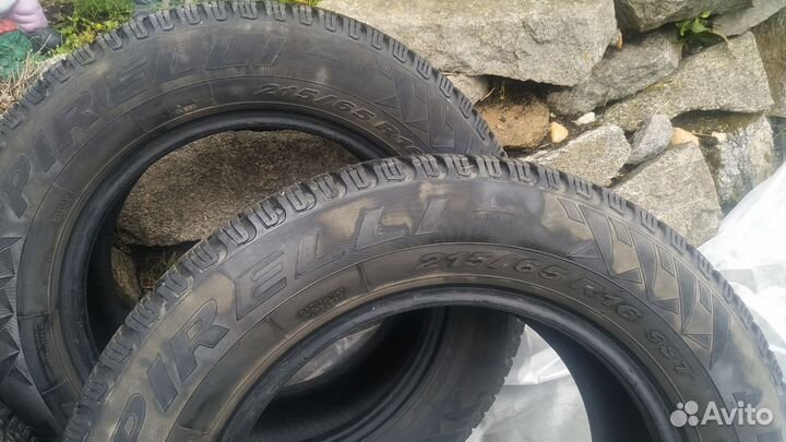 Pirelli Winter Studdable Plus 215/65 R16 98