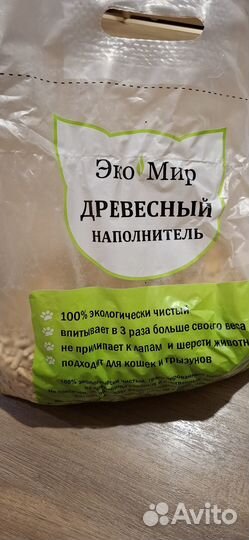 Сирийский хомяк-альбинос