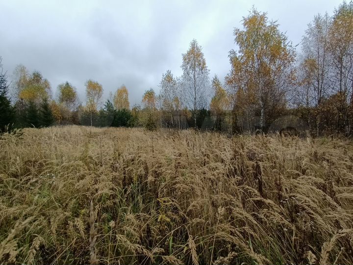 Участок 3,94 га (СНТ, ДНП)