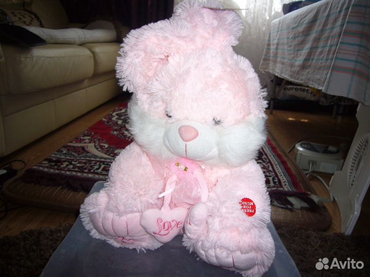 Поющий заяц