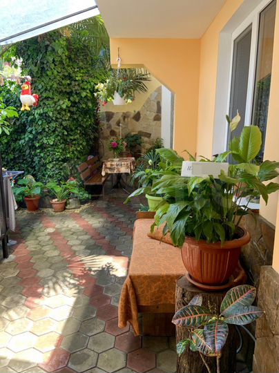 Дом 50 м² на участке 1 сот.