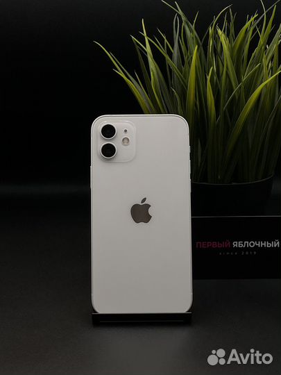 iPhone 12, 128 ГБ