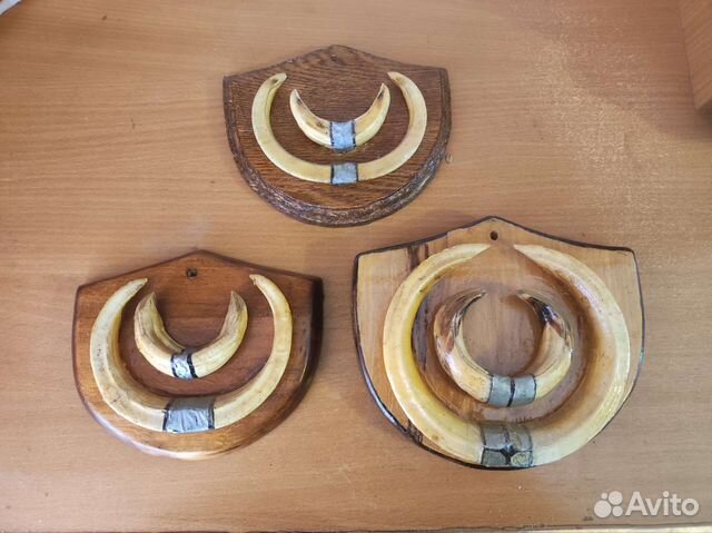 Медальон из клыков кабана