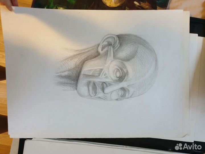 Работы по рисунку и живописи, графика