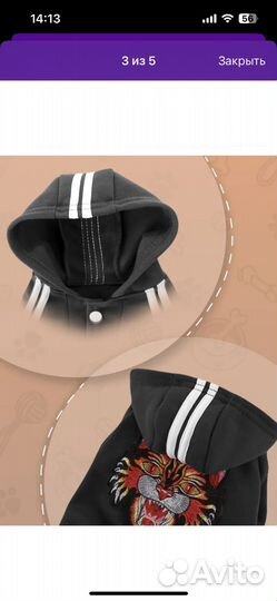 Костюм для собак