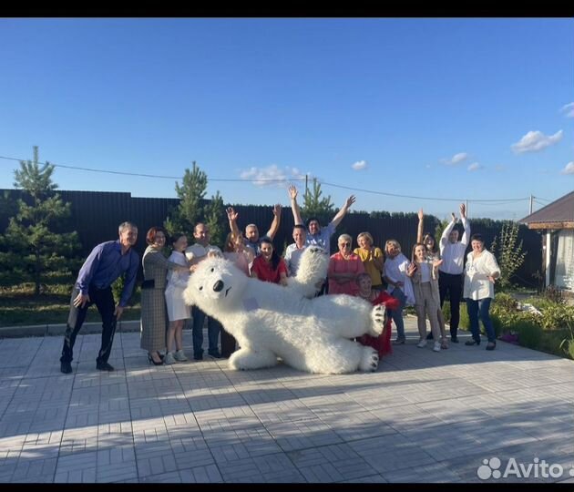 Белый мишка поздравление