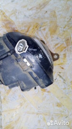 Противотуманная фара Субару легаси В11