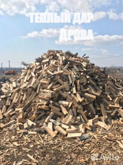 Дрова сухие